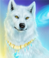 /album/kepgaleria/whitewolf-1-png1/